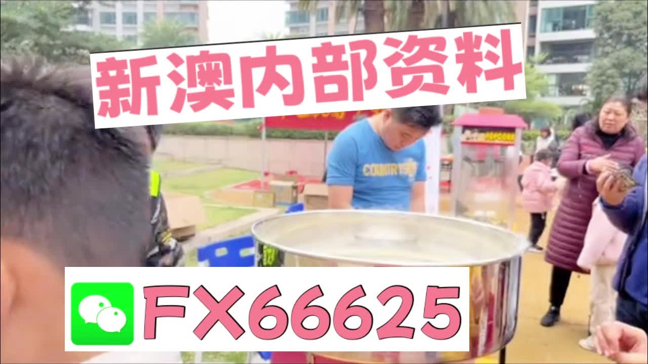 新奧2025正版資料大全，全面解析與深度探索，新奧2025正版資料大全，全面解析與深度探索揭秘