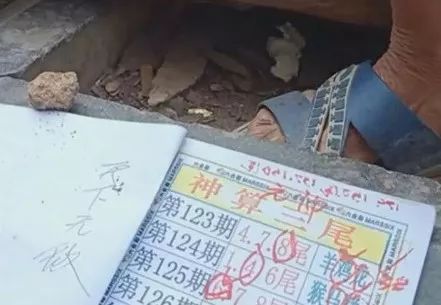 香港中特期期準(zhǔn)資料，深度解析與探索，香港中特期期準(zhǔn)資料深度解析與探索報(bào)告