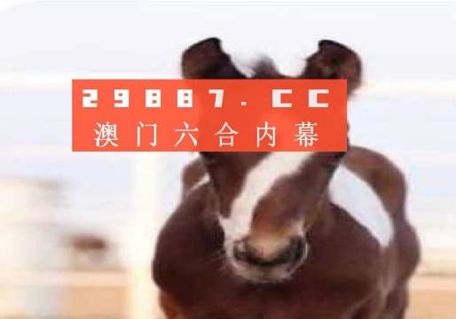 澳門一肖一碼狀元紅，揭秘彩票背后的秘密與策略，澳門彩票揭秘，狀元紅背后的秘密與策略解析