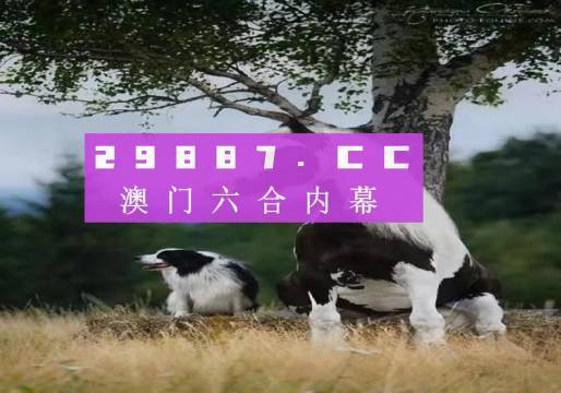 澳門天天空彩官網(wǎng)資料，探索彩票世界的門戶，澳門天天空彩官網(wǎng)資料，彩票世界探索門戶