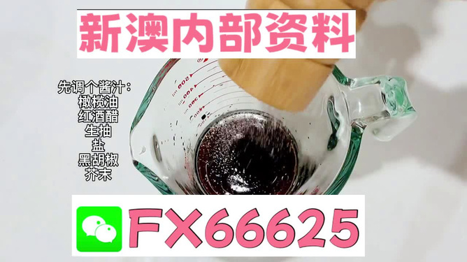 2025年新澳正版免費料，全面解析與獨家資訊，獨家解析，揭秘新澳正版免費料獨家資訊至2025年