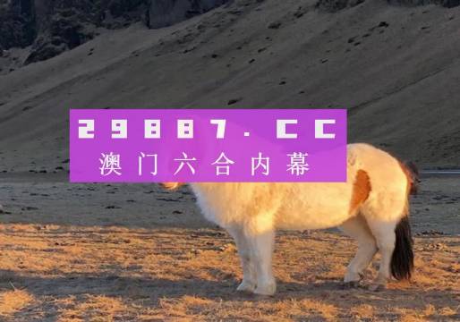 澳門天天彩資料正版免費(fèi)特色快8，探索彩票世界的魅力與機(jī)遇，澳門天天彩正版特色快8，彩票世界的魅力與機(jī)遇探索