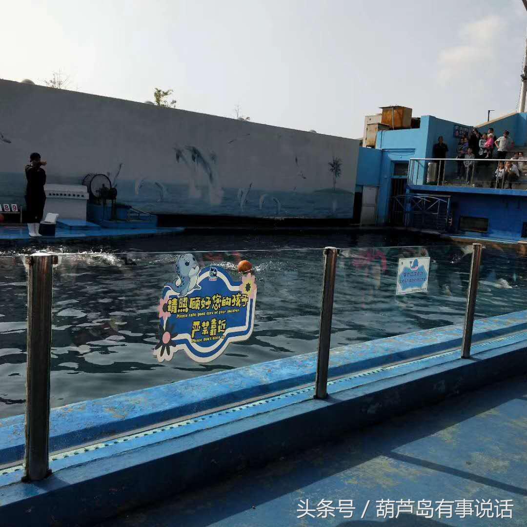 揭秘9點30分彩新澳，全方位解讀彩票新玩法，揭秘9點30分彩新澳，全方位解讀彩票新玩法攻略