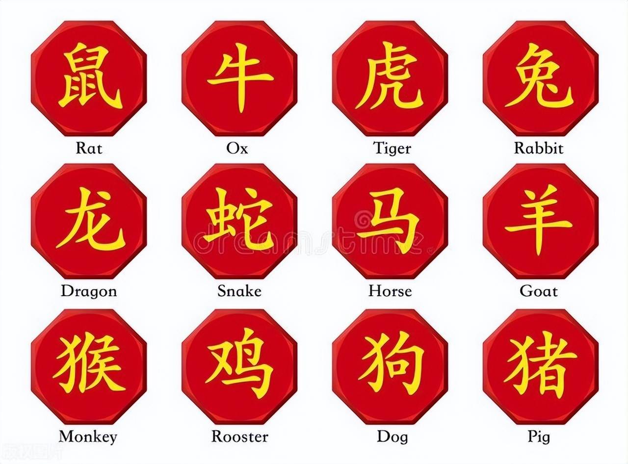 新澳特碼，羊?；⒏鲾?shù)10——揭秘背后的數(shù)字奧秘，揭秘新澳特碼數(shù)字奧秘，羊?；⒏鲾?shù)背后的秘密