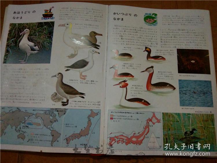 今日正版跑狗圖分享，探索7777788888跑狗圖的魅力，今日正版跑狗圖分享，探索魅力十足的777778跑狗圖