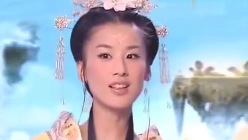曾道道人資料免費大全，深度探索與解析，曾道道人資料深度解析與免費大全探索