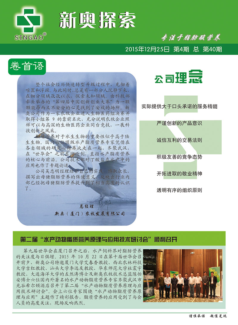 2025新澳正版資料查詢指南，2025新澳正版資料查詢手冊