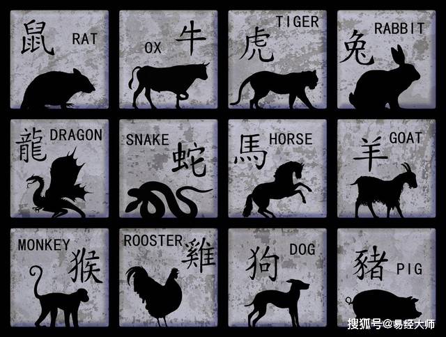新澳特碼，羊牛虎各數(shù)10的獨特魅力與解析，新澳特碼，羊?；⒏鲾?shù)10的獨特魅力深度解析