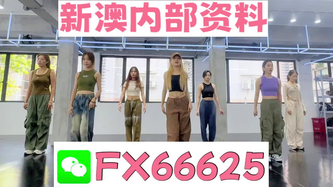 新澳持碼會資料詳解，新澳持碼會資料全面解析
