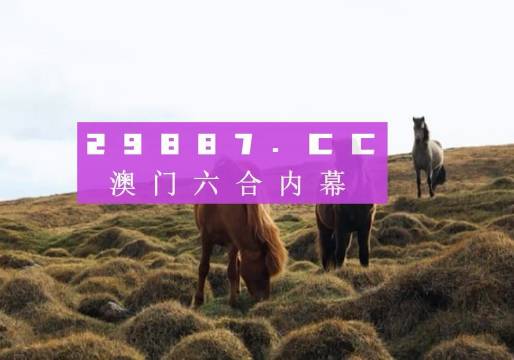 澳門今晚9點(diǎn)35開獎(jiǎng)結(jié)果揭曉，揭秘彩票背后的秘密，澳門今晚9點(diǎn)35開獎(jiǎng)結(jié)果揭曉，彩票背后的秘密大揭秘