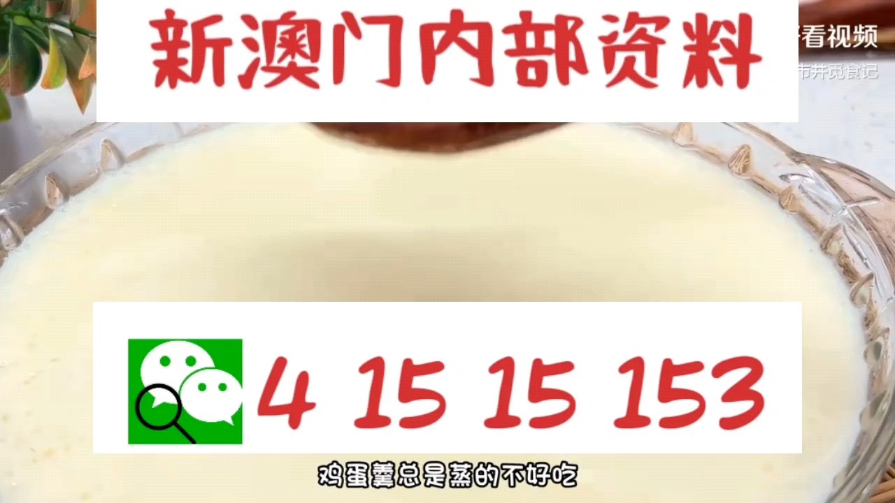 新澳門中特網(wǎng)中特馬，探索與解析，澳門中特馬探索與解析指南