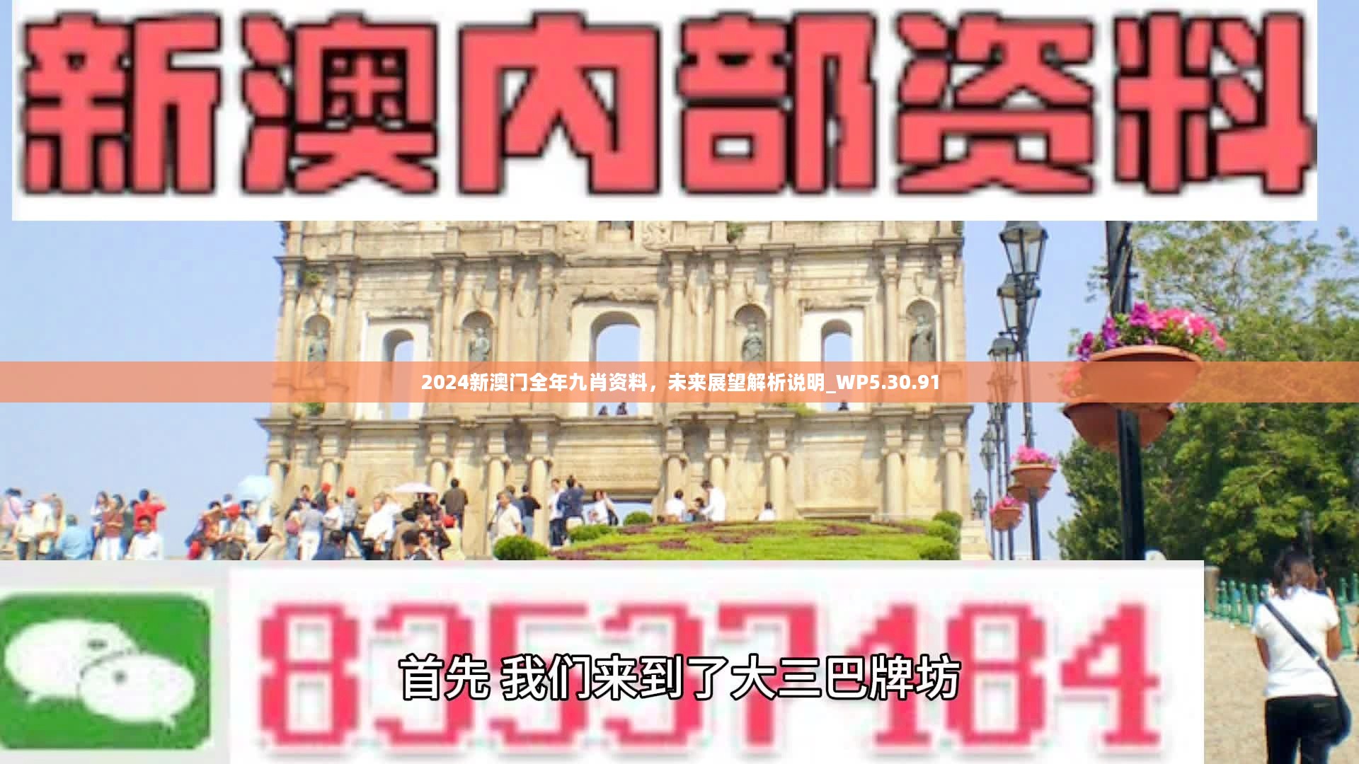 新澳門精準九肖，揭秘預(yù)測技巧與策略，揭秘新澳門精準九肖預(yù)測技巧與策略