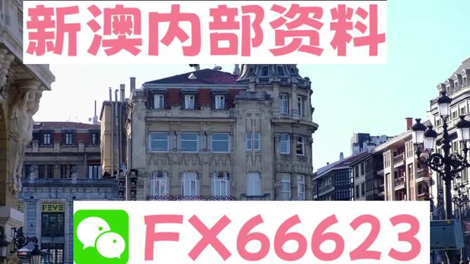 澳門六資料大全，深度探索與揭秘，澳門六資料大全，深度探索與揭秘之旅