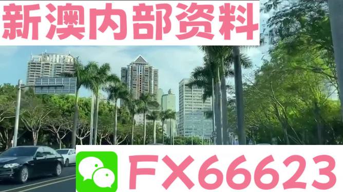 新澳資料哪里看，全面指南與資源匯總，新澳資料全面指南與資源匯總查看攻略