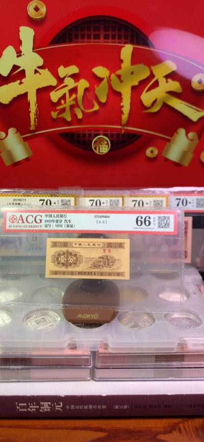 王中王一肖中特4887，揭秘背后的故事與奧秘，揭秘王中王一肖中特4887背后的故事與奧秘