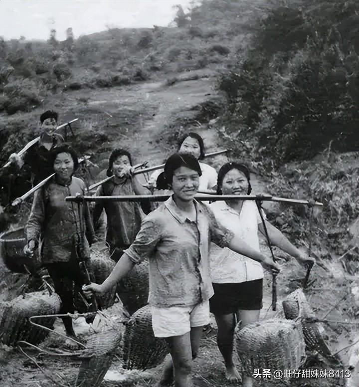 關(guān)于49圖庫(kù)圖片資料的專業(yè)解析與探索，49圖庫(kù)圖片資料深度解析與探索