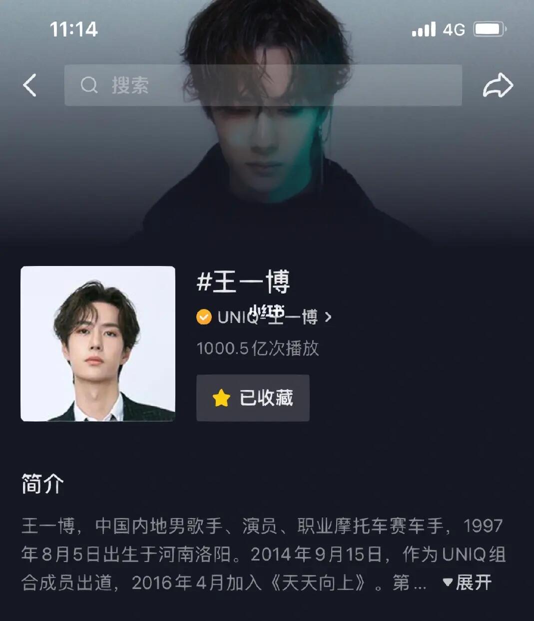 王中王一肖內(nèi)部資料詳解，王中王一肖內(nèi)部資料深度解析