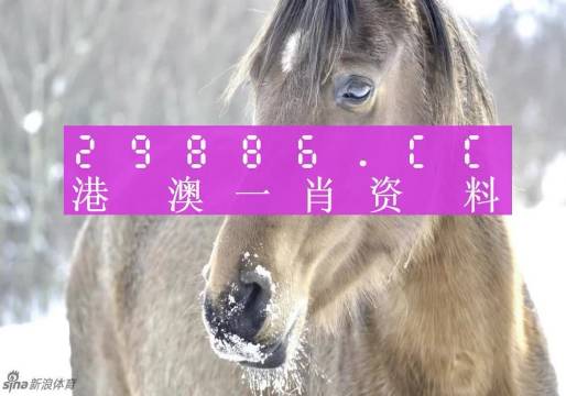 澳門(mén)一肖一碼背后的故事，一個(gè)關(guān)于精準(zhǔn)預(yù)測(cè)與傳奇的揭秘，澳門(mén)一肖一碼傳奇背后的精準(zhǔn)預(yù)測(cè)與揭秘之旅