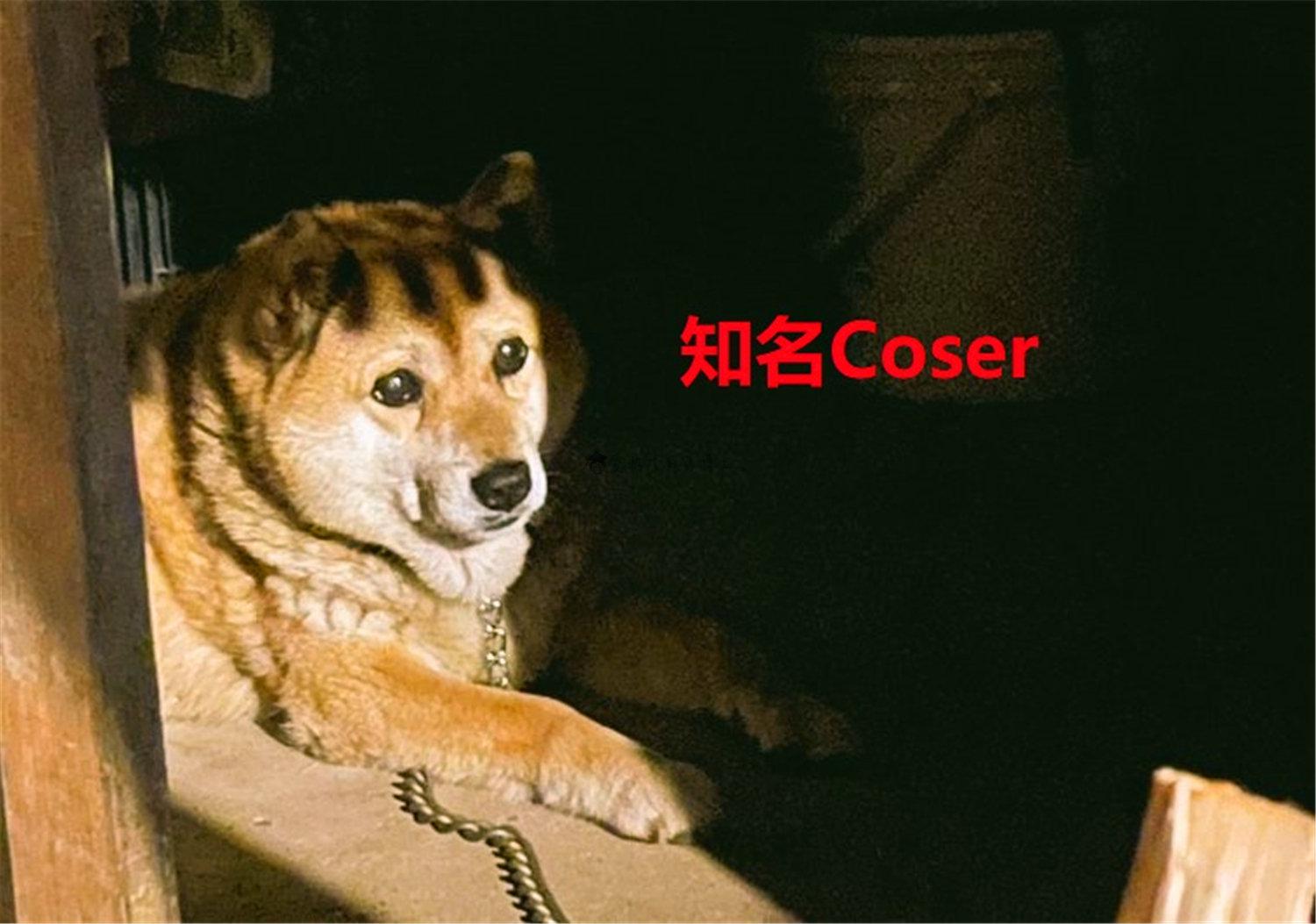 豬狗同行王中王，猜一肖，深度解析與SEO優(yōu)化，豬狗同行王中王猜謎解析與SEO優(yōu)化技巧，深度解析揭秘生肖之謎