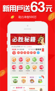 王中王欲錢請猜一肖，揭秘生肖之謎與SEO策略，揭秘生肖之謎與SEO策略，王中王欲錢請猜一肖的奧秘