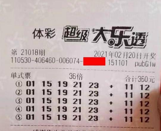 王中王018期指一生肖，揭秘背后的奧秘與意義，揭秘生肖奧秘，王中王生肖背后的意義與秘密