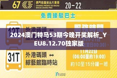 澳門今晚開特馬，探索未來的機遇與挑戰(zhàn)，澳門未來機遇與挑戰(zhàn)，特馬開啟新篇章