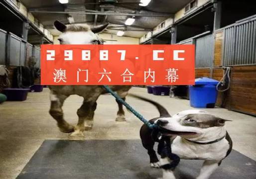 澳門(mén)一肖一碼一必中一肖，同舟前進(jìn)的奧秘與策略，澳門(mén)一肖一碼必中策略與前進(jìn)奧秘，同舟共濟(jì)的揭秘與策略