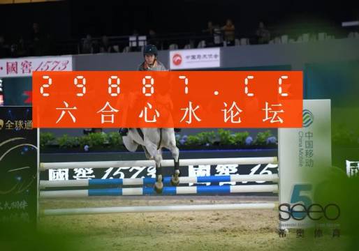 王中王三肖選一碼488，揭秘背后的秘密與探索SEO優(yōu)化之道，揭秘王中王三肖選一碼488背后的秘密與SEO優(yōu)化策略探索