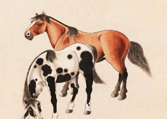 馬一王中王特平一肖圖，深度解析與SEO優(yōu)化策略，深度解析馬一王中王特平肖圖，SEO優(yōu)化策略探討
