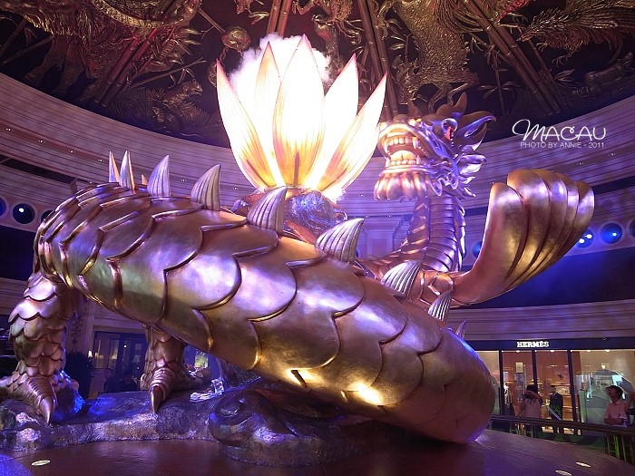 澳門(mén)無(wú)錯(cuò)七尾，探索與解析，澳門(mén)無(wú)錯(cuò)七尾，深度探索與解析