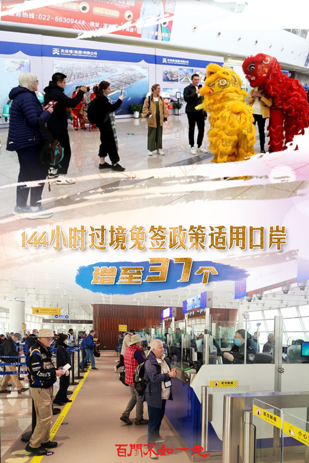 揭秘王中王，一碼一肖一特一中背后的故事，揭秘王中王背后的故事，一碼一肖一特一中傳奇揭秘