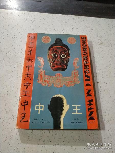 王中王資料與肖中特，深度解析，王中王資料與肖中特深度剖析