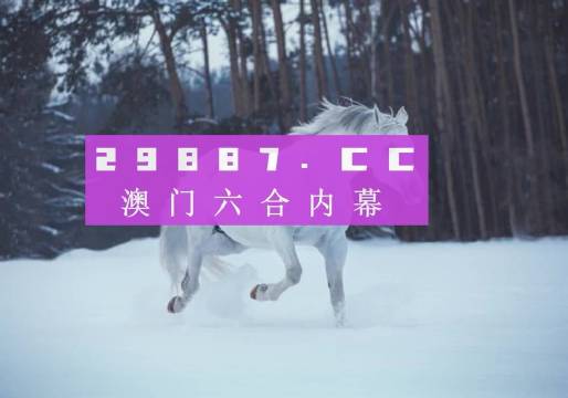 澳門風采，探索142期澳門的獨特魅力，澳門風采，探索第142期獨特魅力之旅