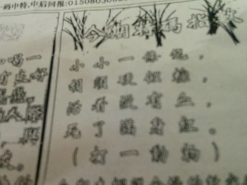 劉伯溫猜一生肖2022，神秘預(yù)言還是精準(zhǔn)預(yù)測？，劉伯溫生肖預(yù)測揭秘，神秘預(yù)言還是精準(zhǔn)預(yù)測？