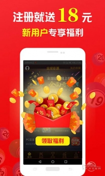 王中王一肖中打一，深度解析一種獨(dú)特的文化現(xiàn)象，王中王一肖中打一，獨(dú)特文化現(xiàn)象的深度探究