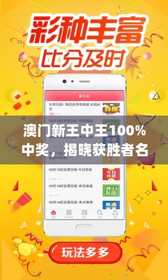 王中王藏寶閣猜一肖，揭秘背后的秘密與SEO策略，王中王藏寶閣猜一肖背后的秘密與SEO策略揭秘