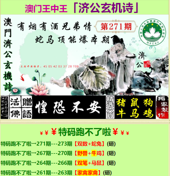 王中王資料一肖特圖，深度解析與探索，王中王資料特圖深度解析與探索