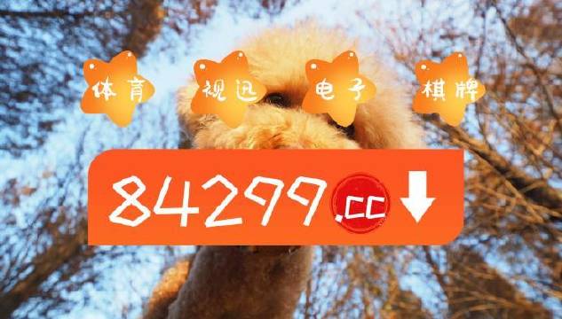 今期必中一肖一碼白小姐，揭秘彩票背后的秘密與策略，揭秘彩票背后的秘密與策略，白小姐今期必中一肖一碼解析