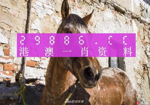 王中王資料一門肖中，深度解析與探索，王中王資料一門肖詳解，深度解析與探索