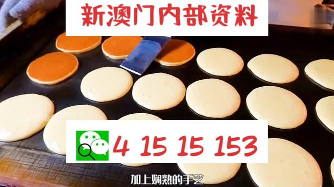 新澳門碼精準資料，揭秘與探索，揭秘新澳門碼精準資料探索之旅
