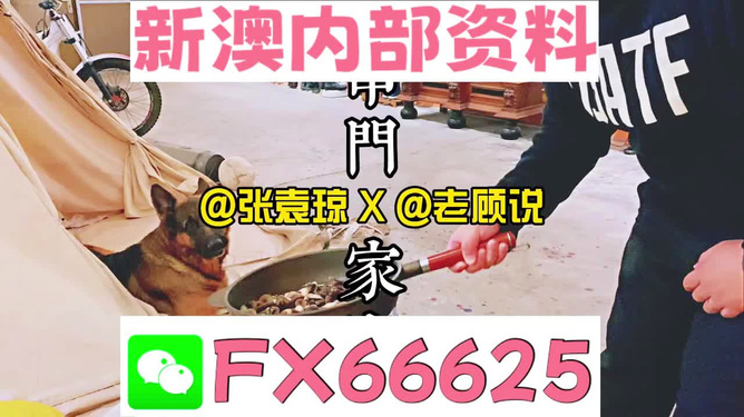 新澳門精準(zhǔn)資料大全，管家婆料解析與探索，澳門精準(zhǔn)資料大全，管家婆料解析與深度探索