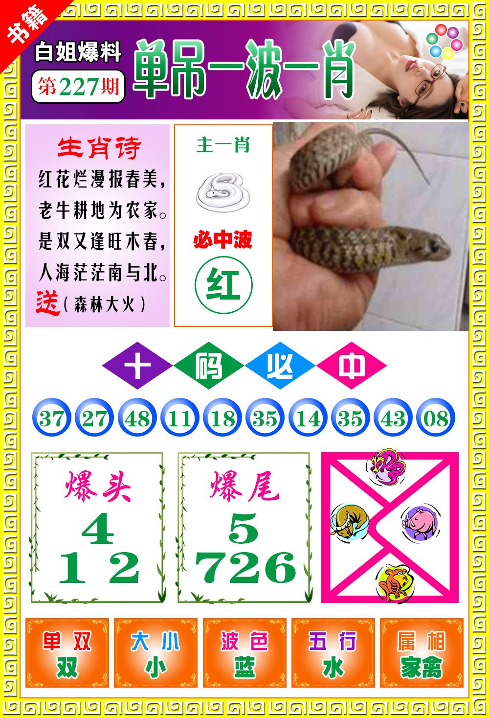 王中王免費(fèi)一肖開(kāi)獎(jiǎng)，揭秘彩票背后的秘密，揭秘彩票背后的秘密，王中王免費(fèi)一肖開(kāi)獎(jiǎng)探秘