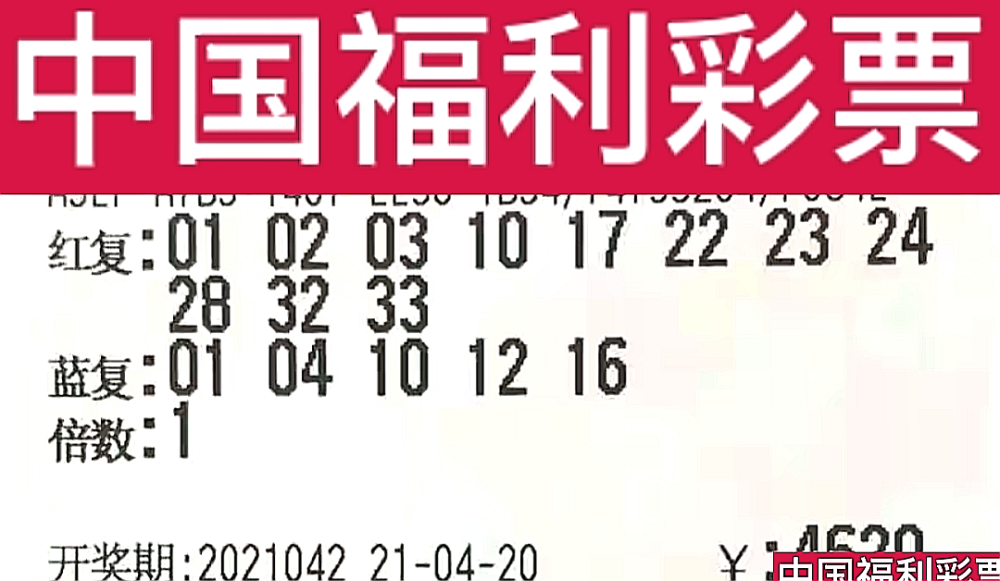 新奧門今晚開獎結(jié)果查詢第243期，全面解析與預(yù)測，新奧門第243期開獎結(jié)果解析與預(yù)測，今晚開獎揭秘