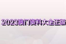 澳門資料大全正版資料免費，探索未來的澳門與2025展望，澳門未來展望，資料大全正版免費探索與2025展望