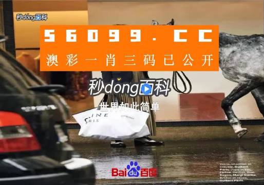 新澳一碼三中三資料，探索與解析，新澳一碼三中三資料解析與探索