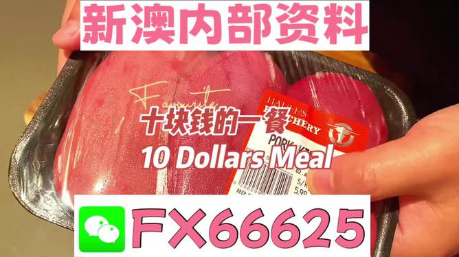 揭秘2025新澳精準資料免費大全——一站式獲取最新資源，揭秘2025新澳精準資料免費大全，最新資源一站式獲取