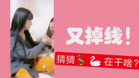 王中王欲錢(qián)詩(shī)猜一肖，王中王欲錢(qián)詩(shī)暗示的生肖之謎