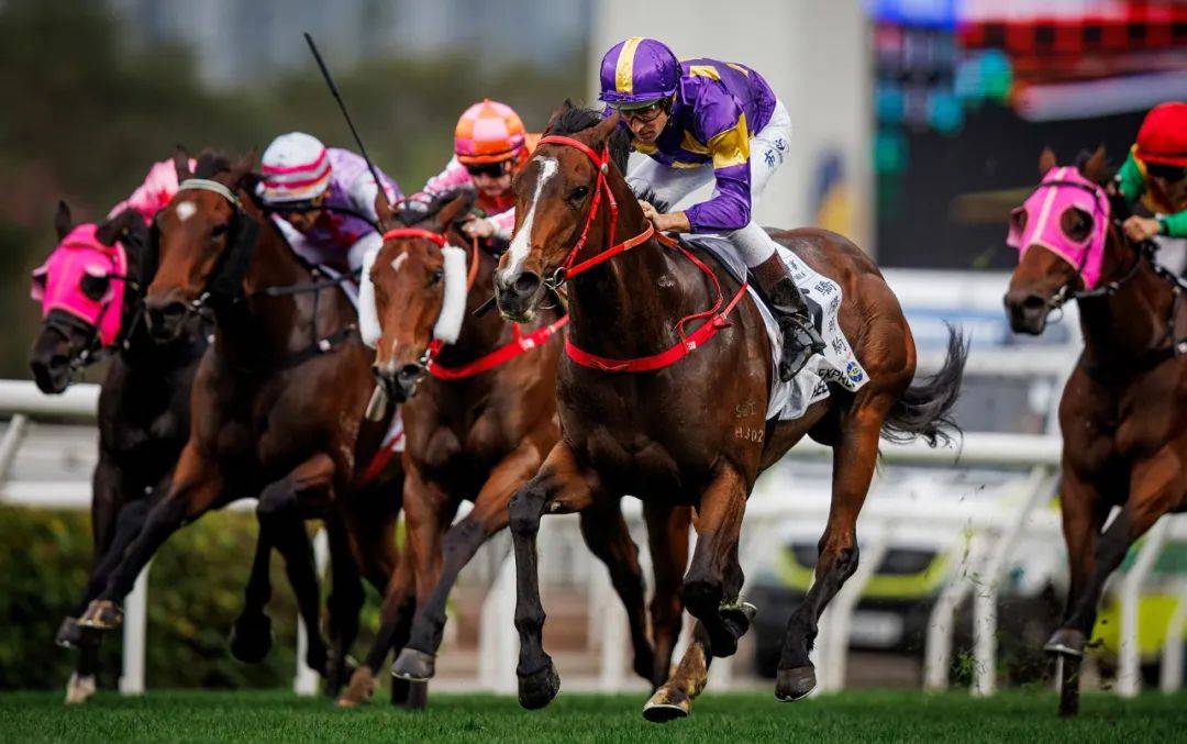 香港賽馬，探索賽馬運(yùn)動(dòng)的激情與榮耀之地——7777788888的獨(dú)特魅力，香港賽馬，激情與榮耀的獨(dú)特魅力探索——777778賽馬運(yùn)動(dòng)之地