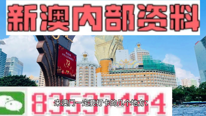 新澳門最精準(zhǔn)正最精準(zhǔn)龍門——探索澳門的魅力與神秘，澳門魅力與神秘之旅，探索最精準(zhǔn)龍門
