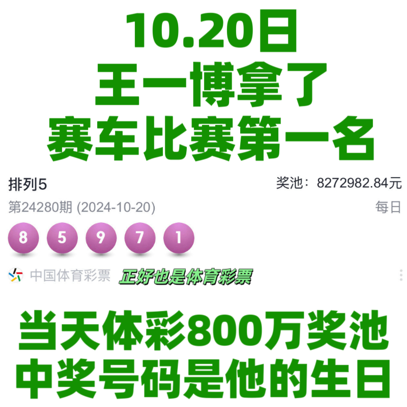 王中王一肖資料中特馬——深度解析與SEO洞察，王中王一肖特馬深度解析與SEO洞察揭秘